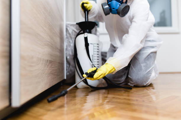 Best Best Pest Control Companies  in Island Walk, FL