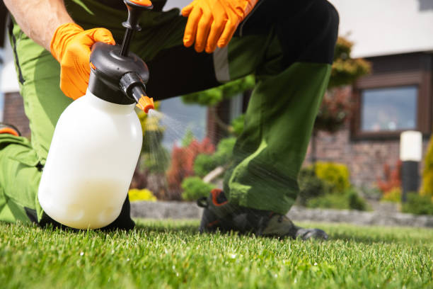 Best Commercial Pest Control Services  in Island Walk, FL