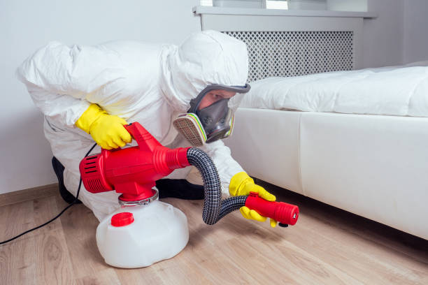 Best Bed Bug Extermination  in Island Walk, FL
