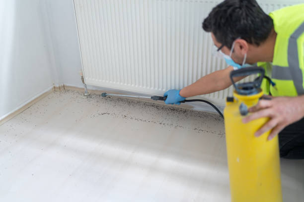 Best Best Pest Control Companies  in Island Walk, FL